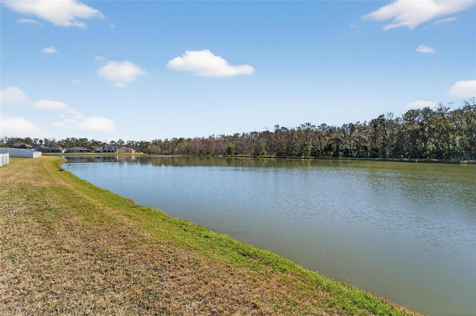 Image 54 of 74 For 25508 Bruford Boulevard