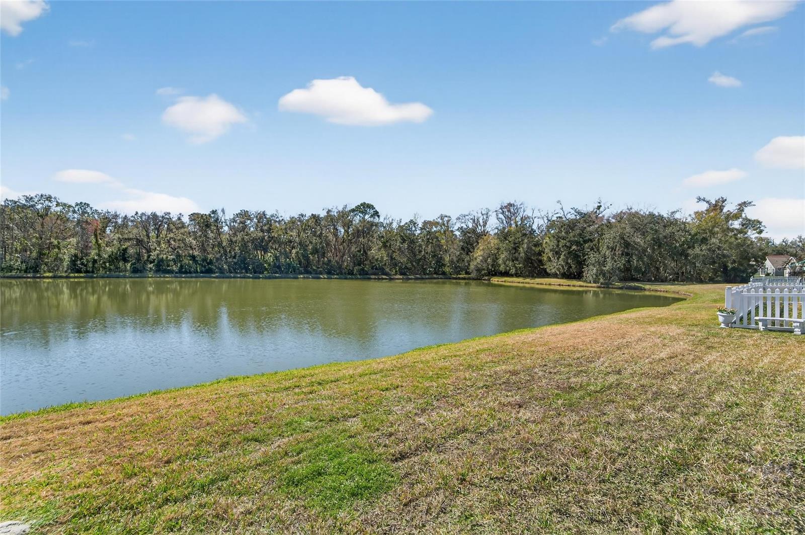 Image 55 of 74 For 25508 Bruford Boulevard