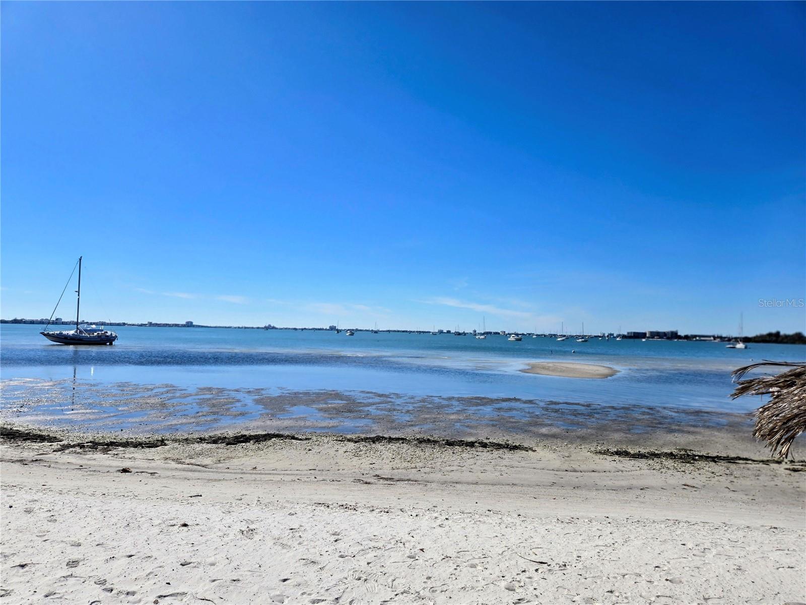 Image 4 of 36 For 4105 38th Avenue S F