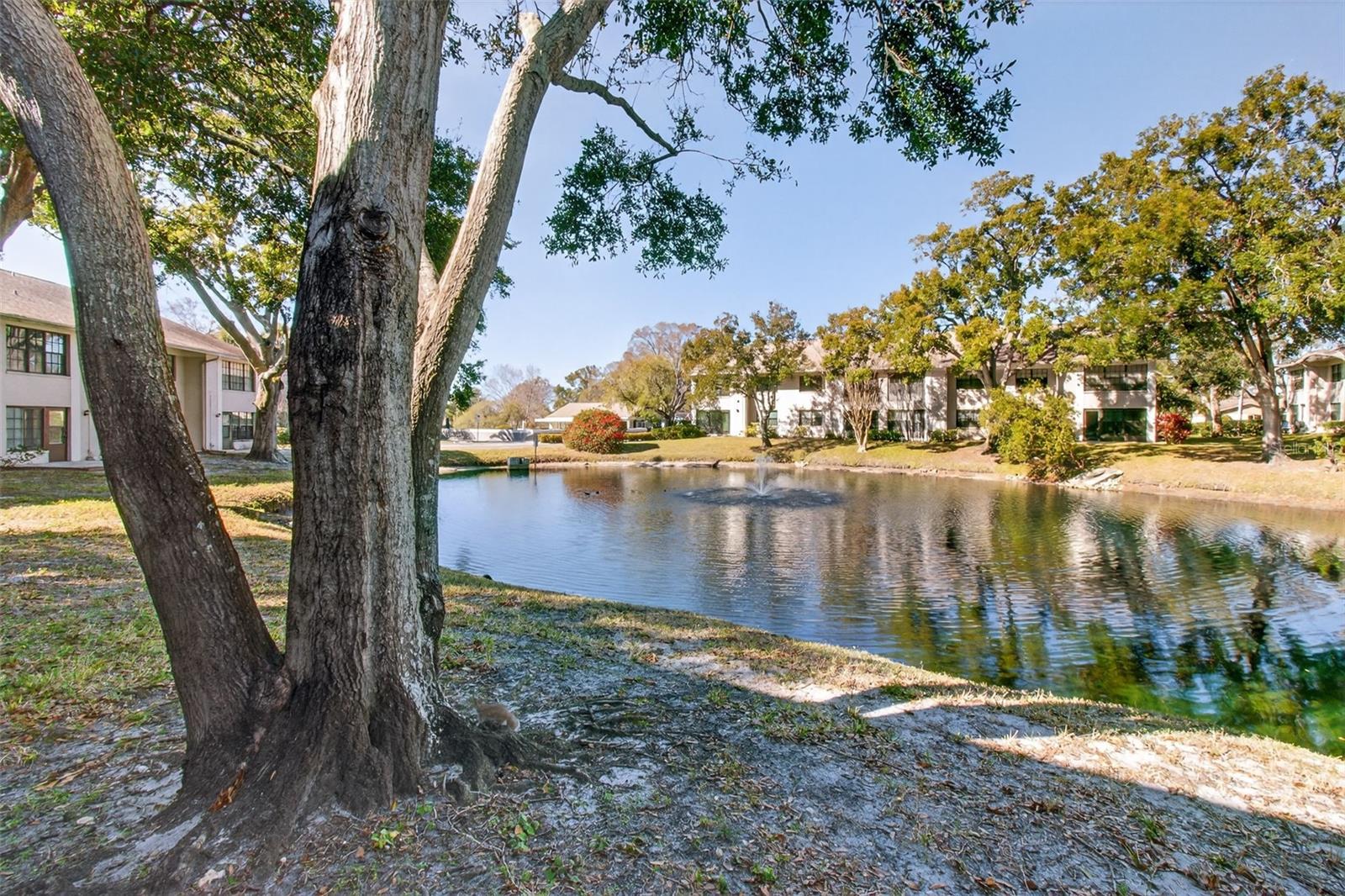 Image 28 of 34 For 2150 Elm Street # 603