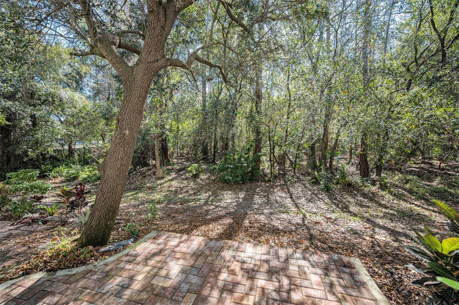 Image 30 of 45 For 9614 Charlesberg Drive