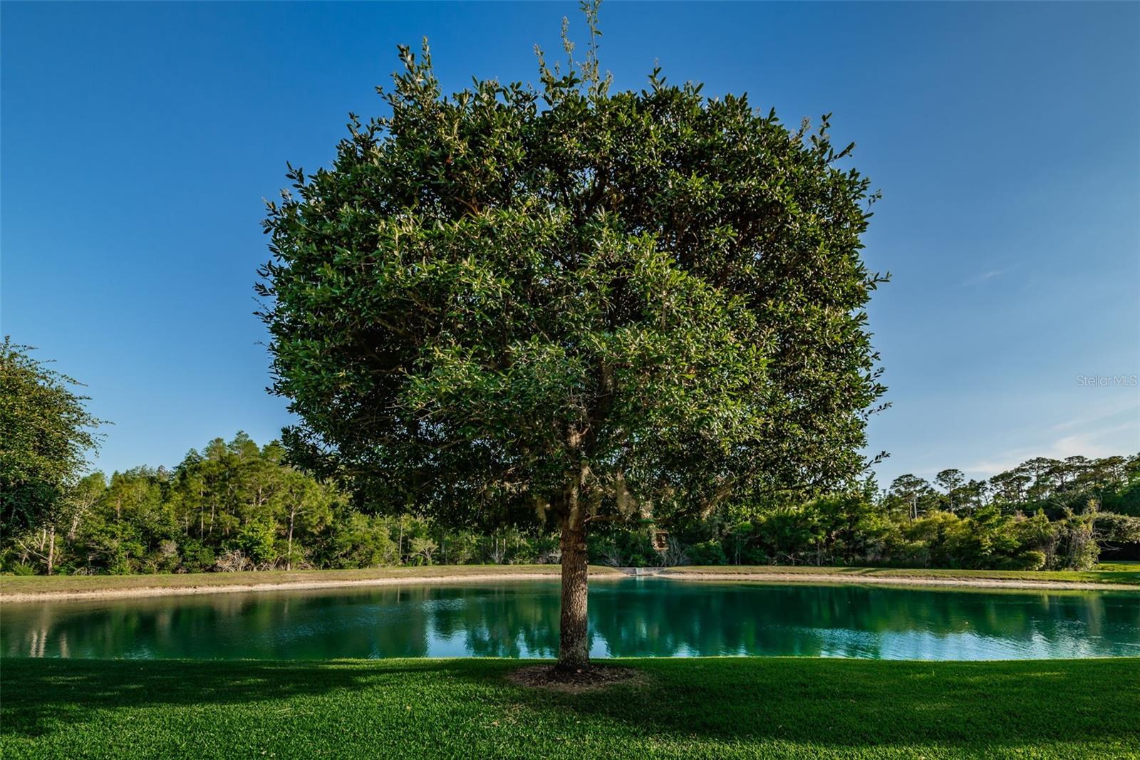 Image 34 of 45 For 9614 Charlesberg Drive