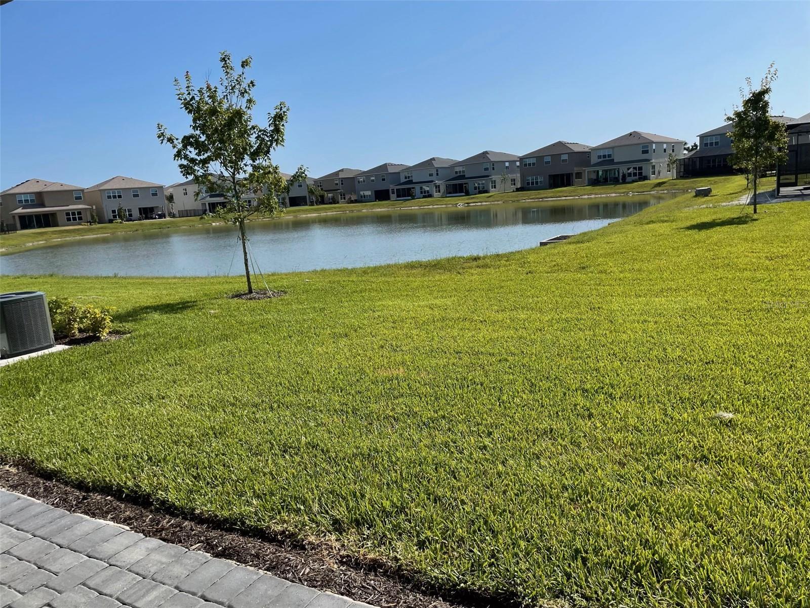 Image 17 of 42 For 3442 Great Banyan Way