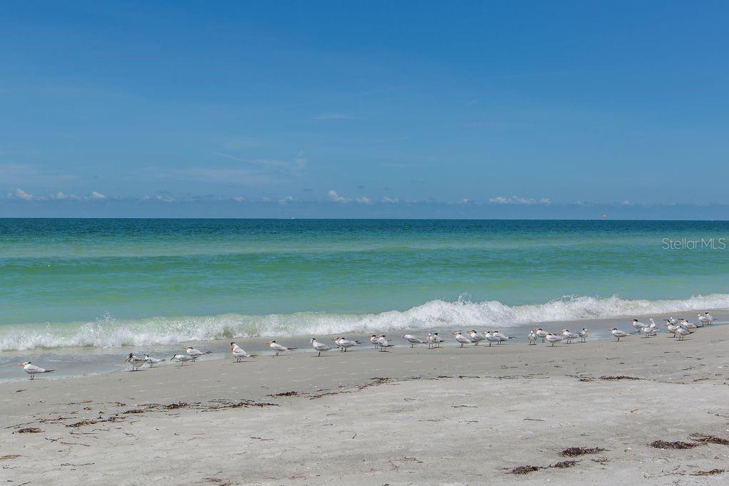 Image 49 of 51 For 399 2nd Street 215