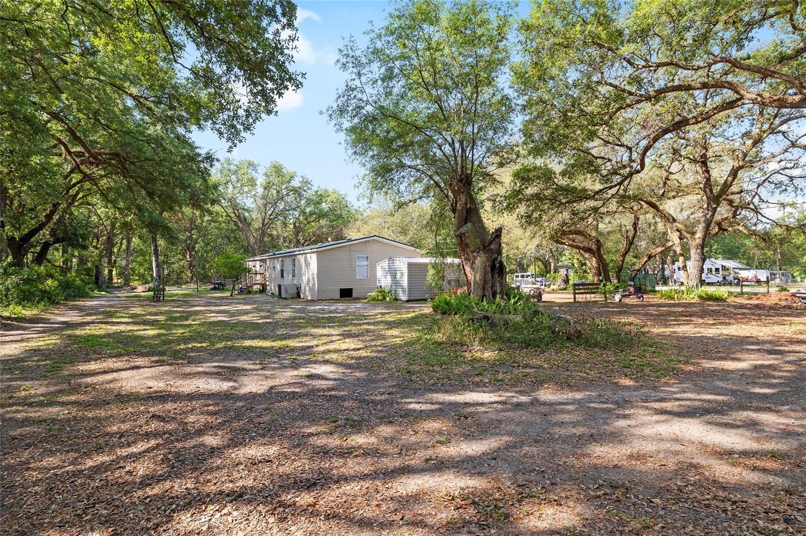 Image 34 of 42 For 8742 Brazil  