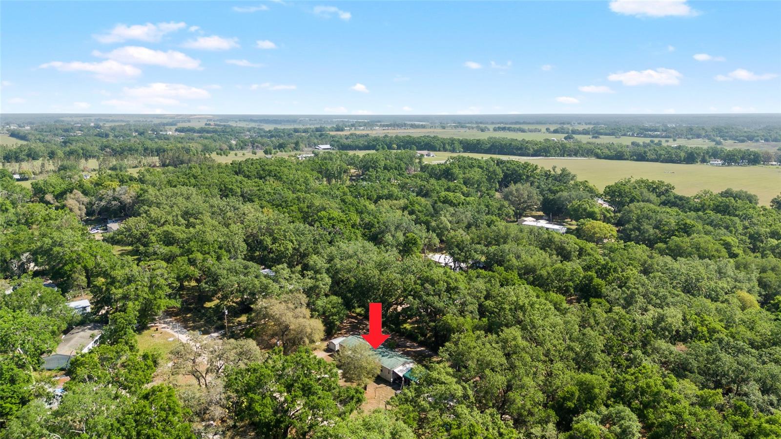 Image 41 of 42 For 8742 Brazil  