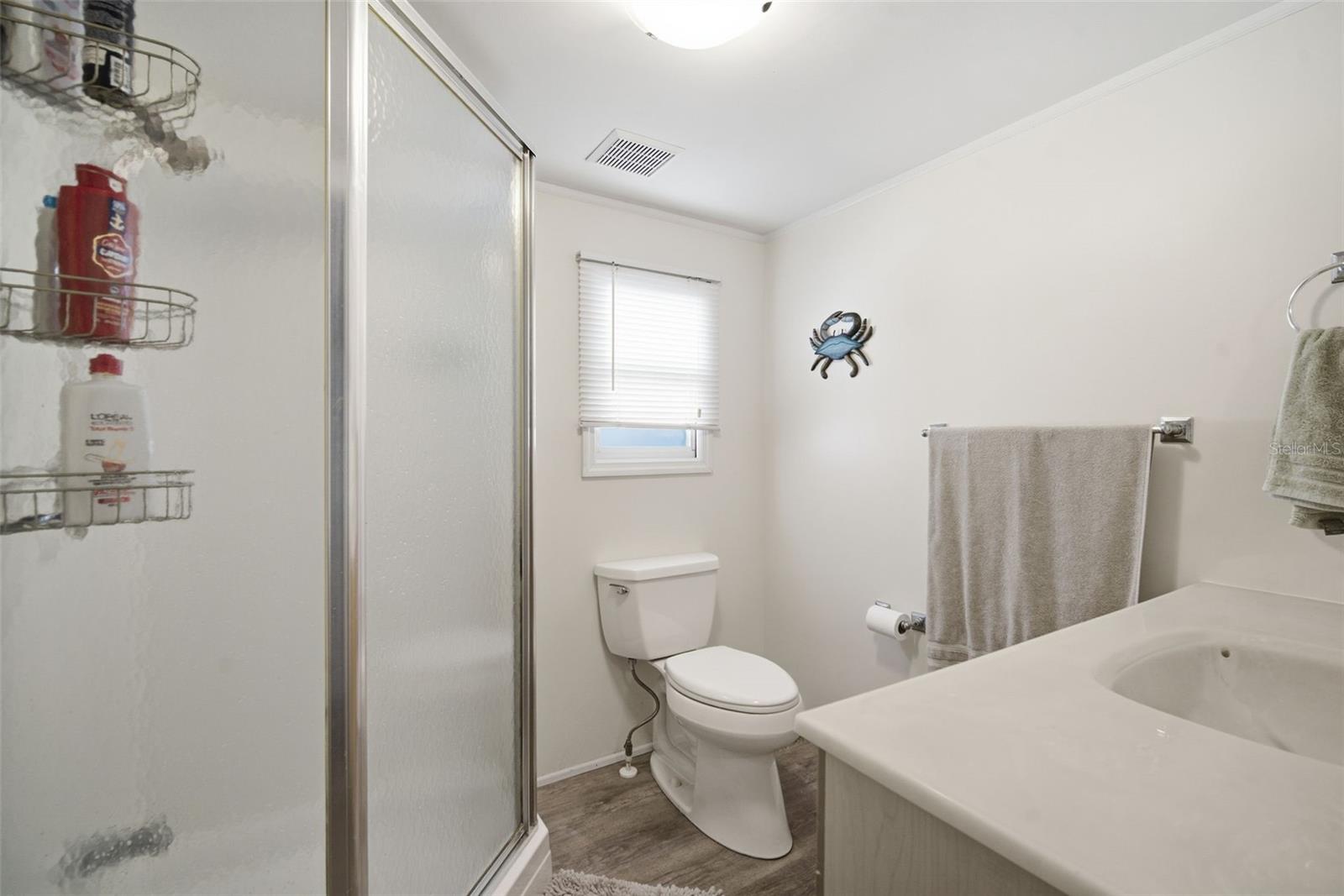 Image 31 of 70 For 4851 Gandy Boulevard B4l24