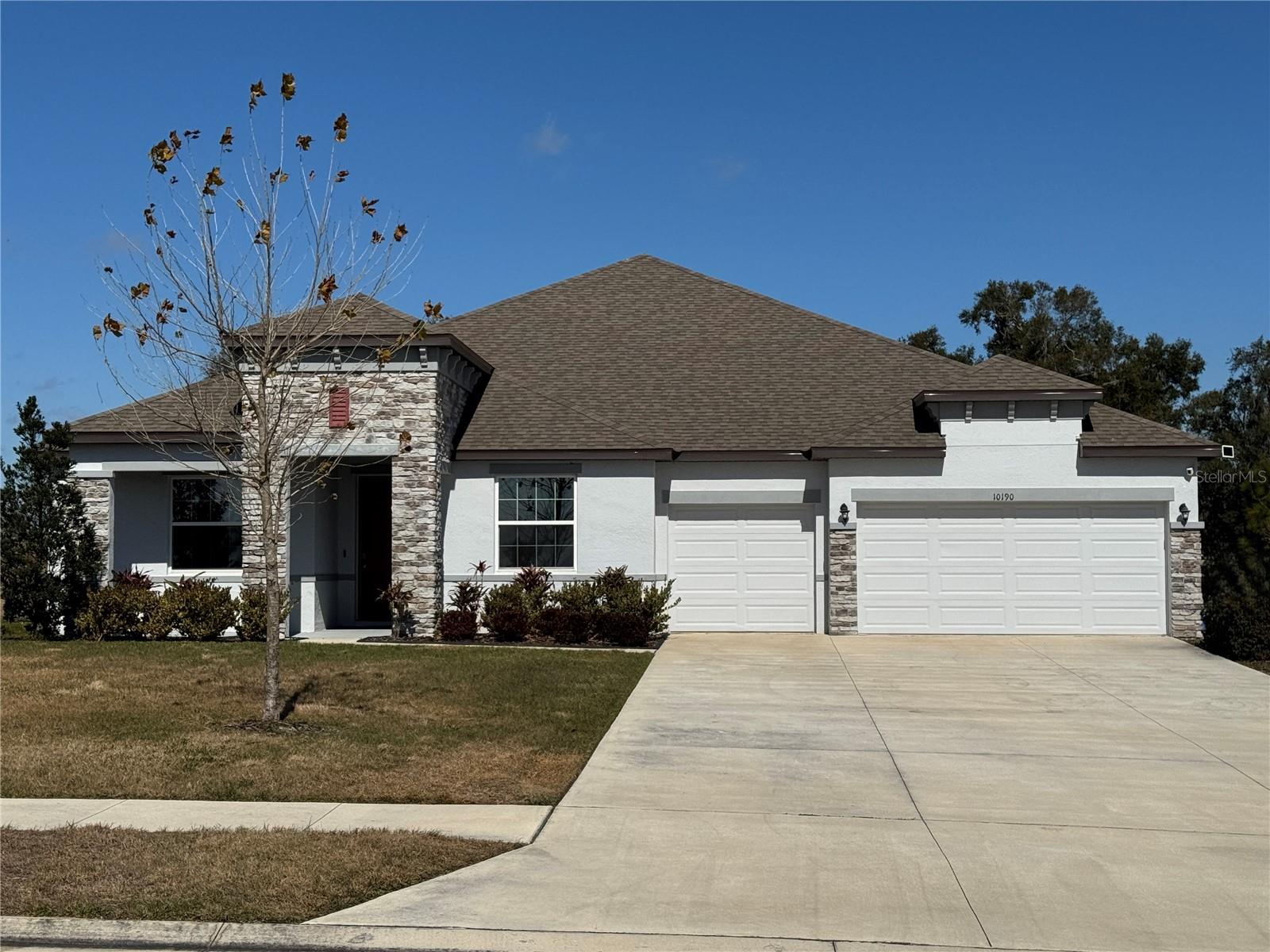 Details for 10190 Dolphin Gull Circle, THONOTOSASSA, FL 33592