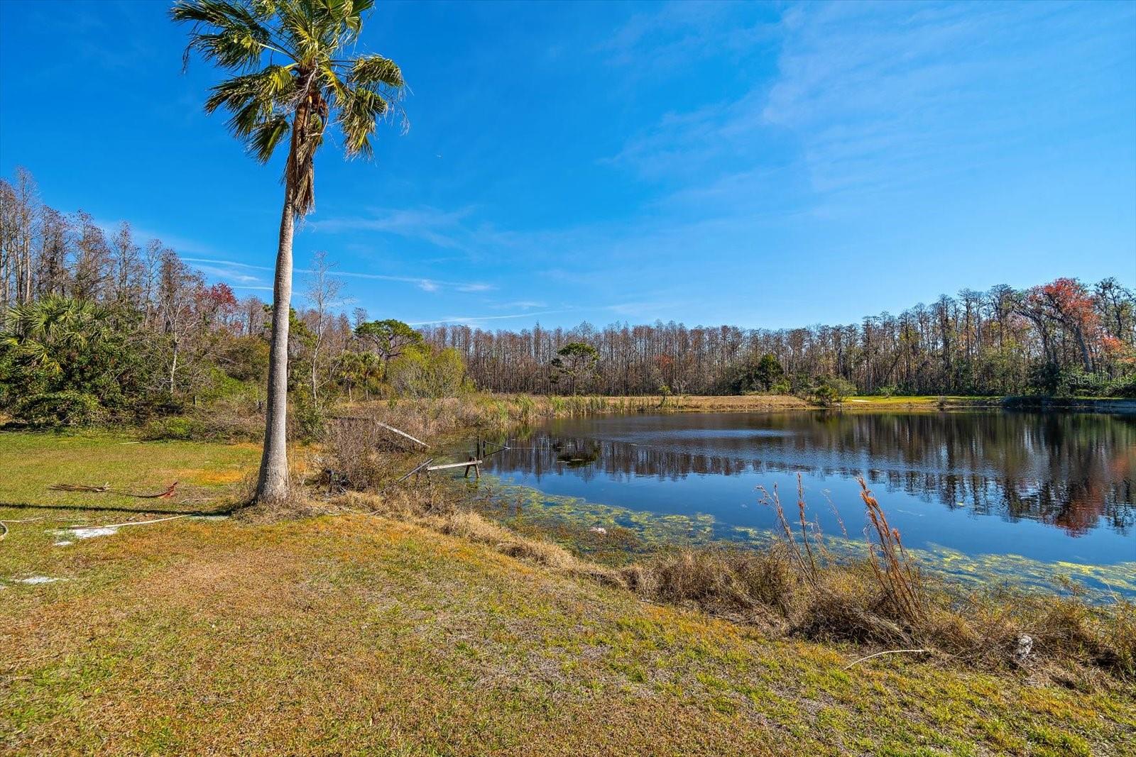 Image 5 of 38 For 18419 Tyler Road