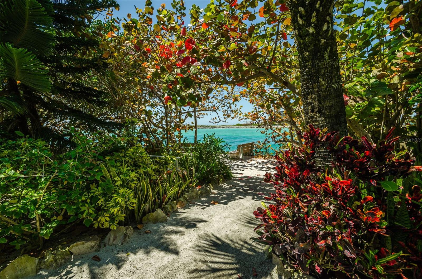 Image 50 of 73 For 7100 Sunset Way 205