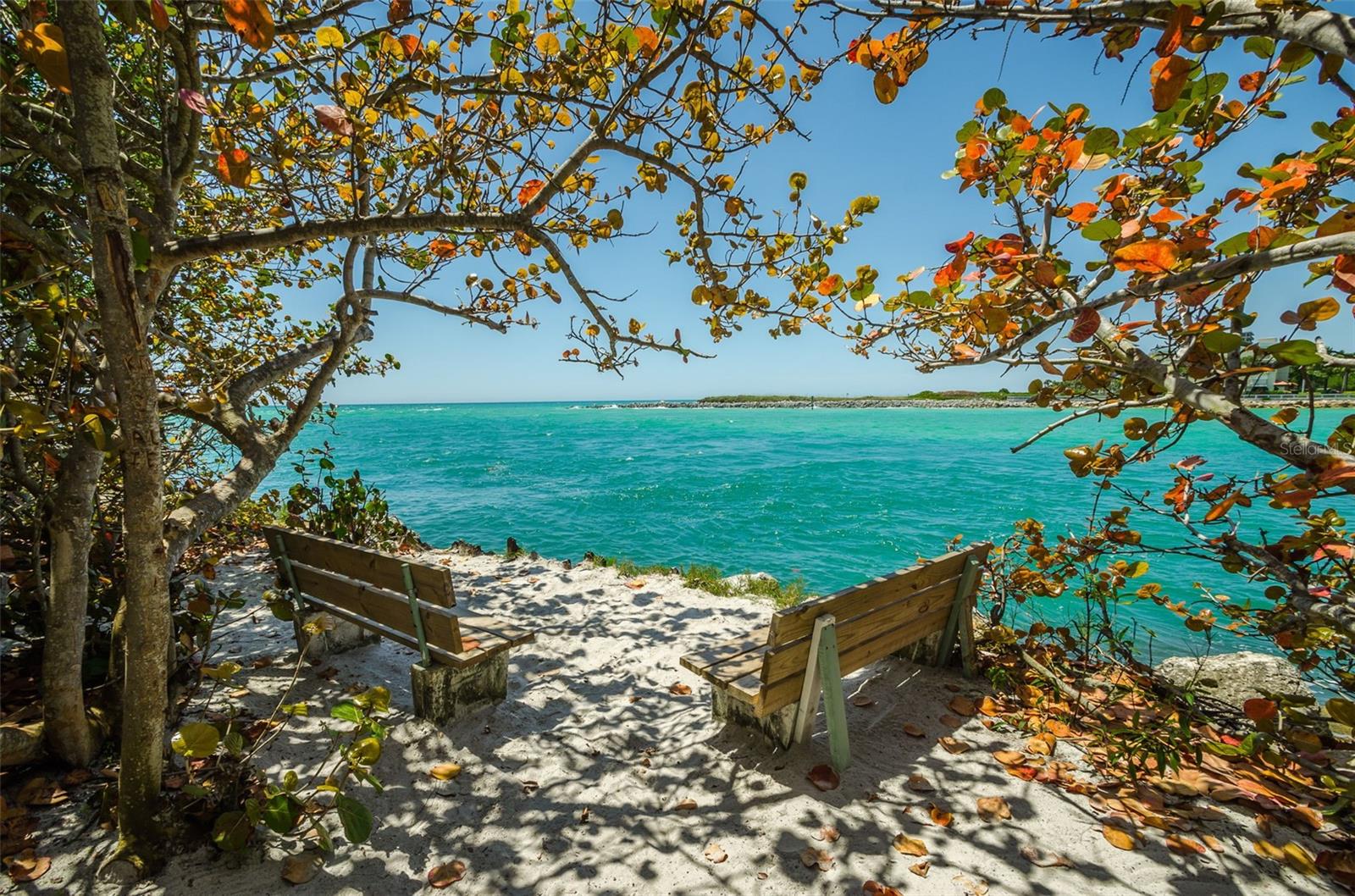 Image 51 of 73 For 7100 Sunset Way 205