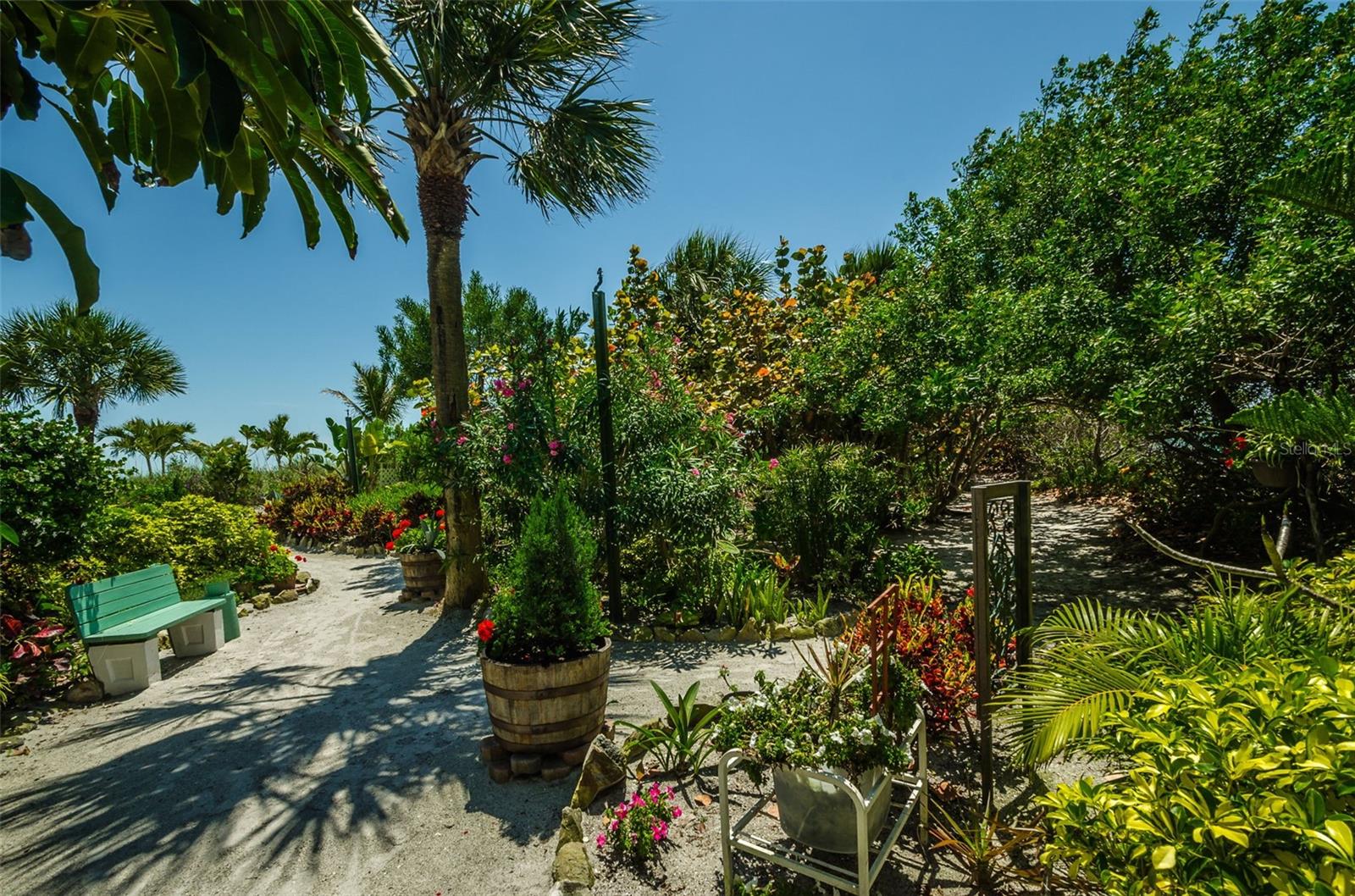 Image 52 of 73 For 7100 Sunset Way 205