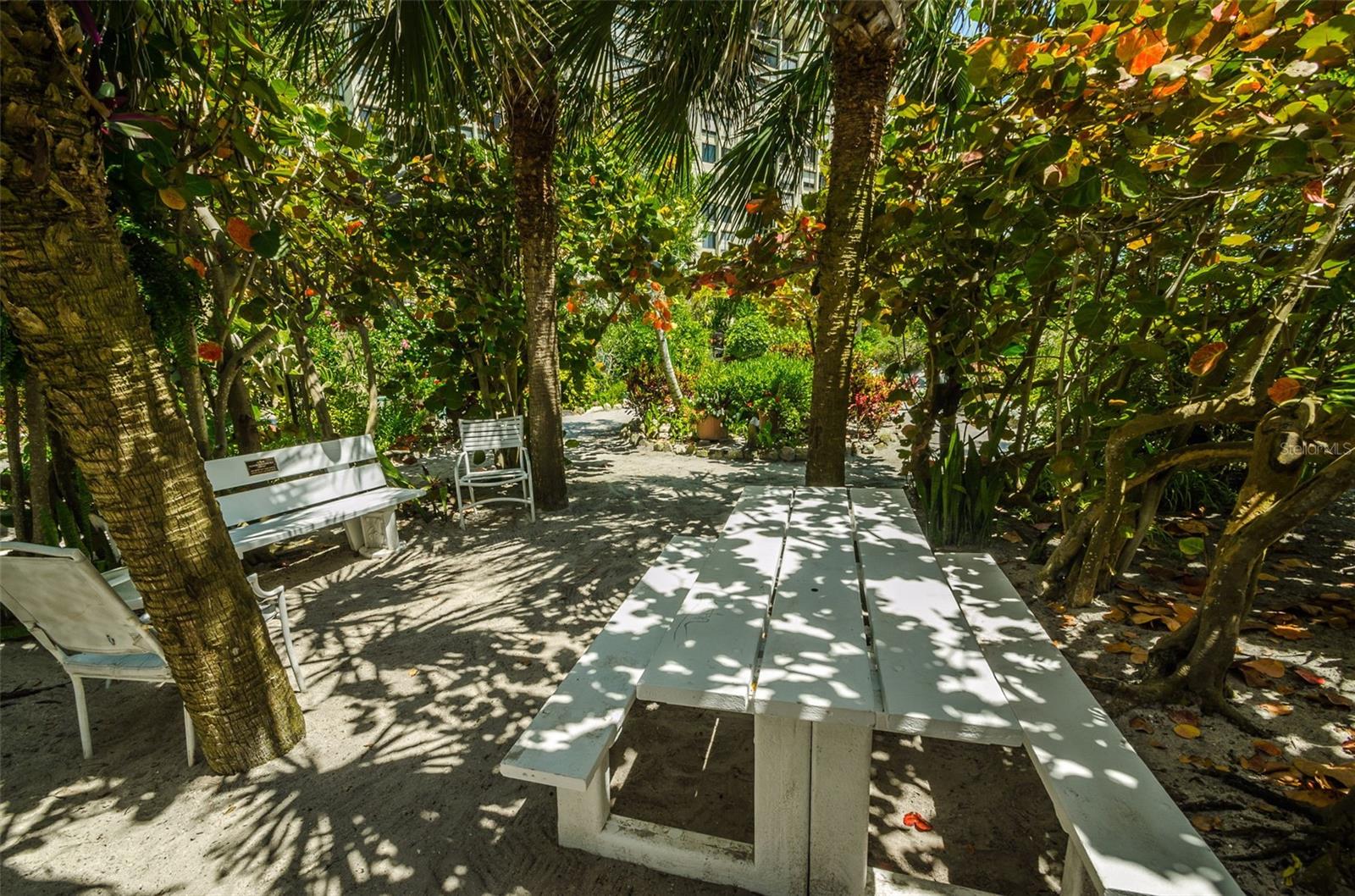 Image 53 of 73 For 7100 Sunset Way 205