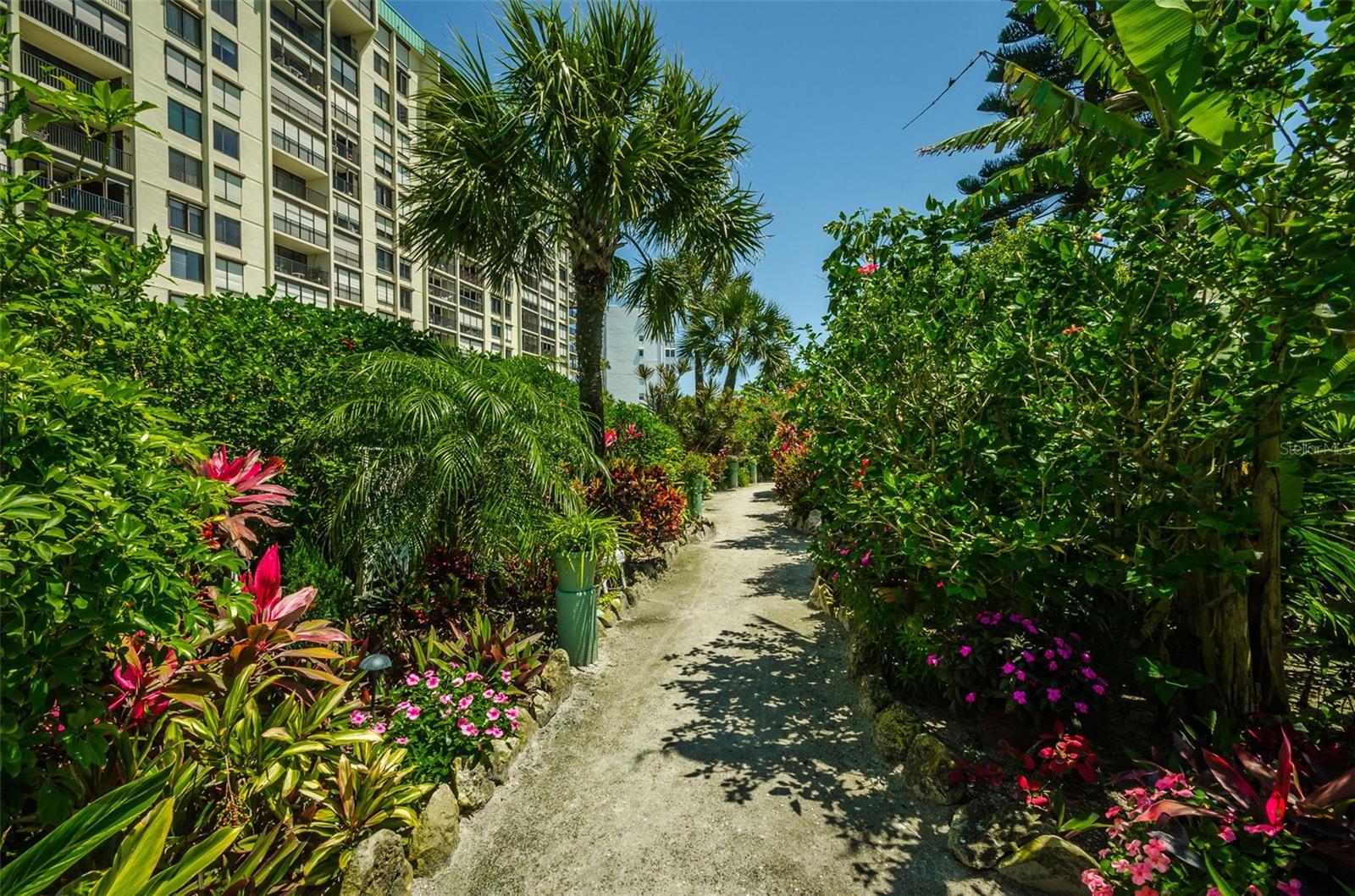 Image 54 of 73 For 7100 Sunset Way 205