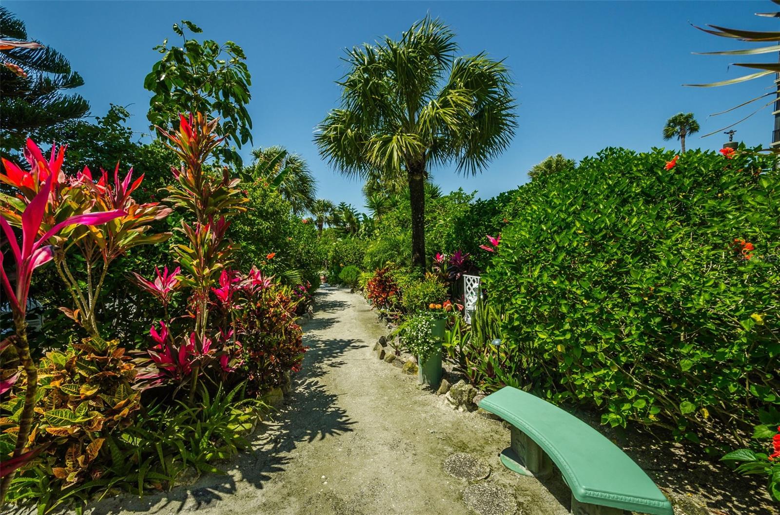 Image 61 of 73 For 7100 Sunset Way 205