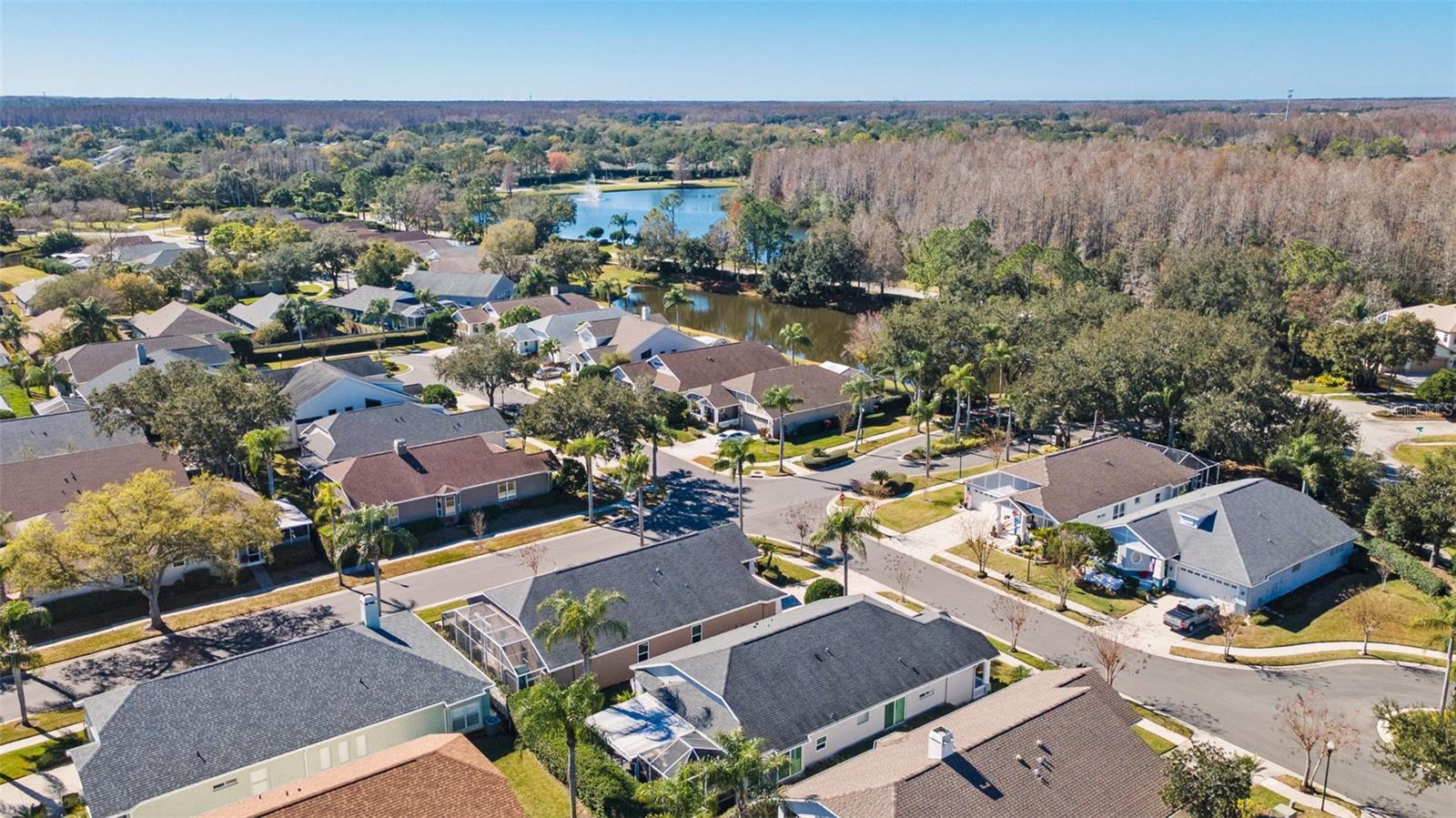 Image 38 of 45 For 19413 Golden Slipper Place