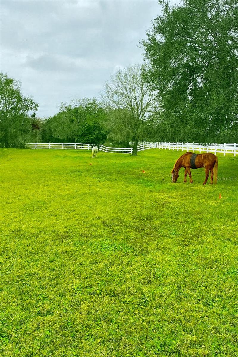 Image 44 of 48 For 13717 Canterfield Drive