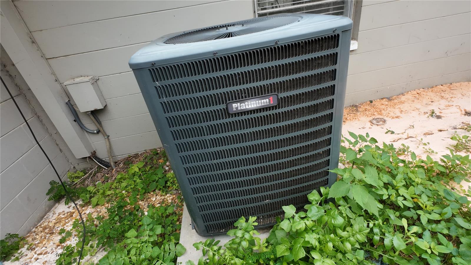 Image 46 of 46 For 36845 Virginia Avenue