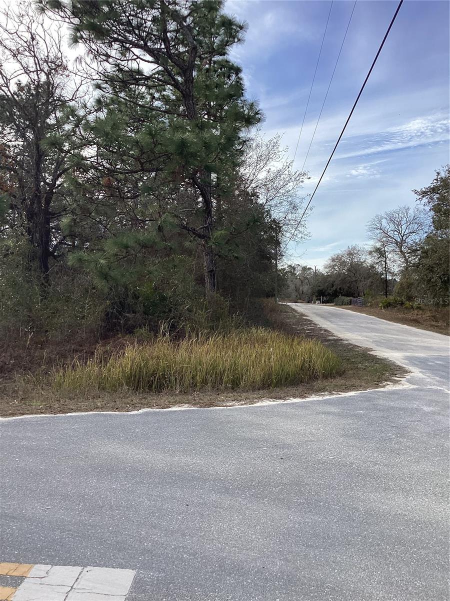Image 2 of 6 For 12449 Indigo Bunting