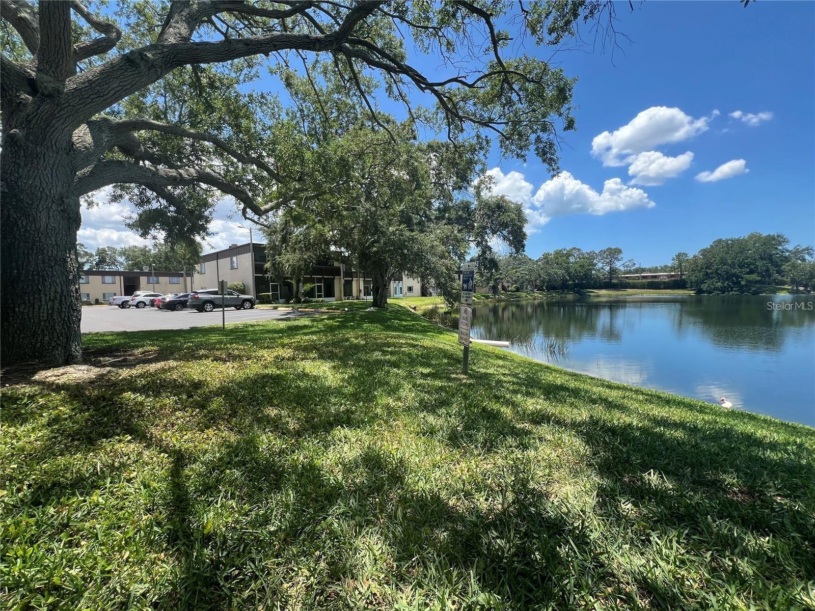 Image 21 of 22 For 631 Keene Road S8