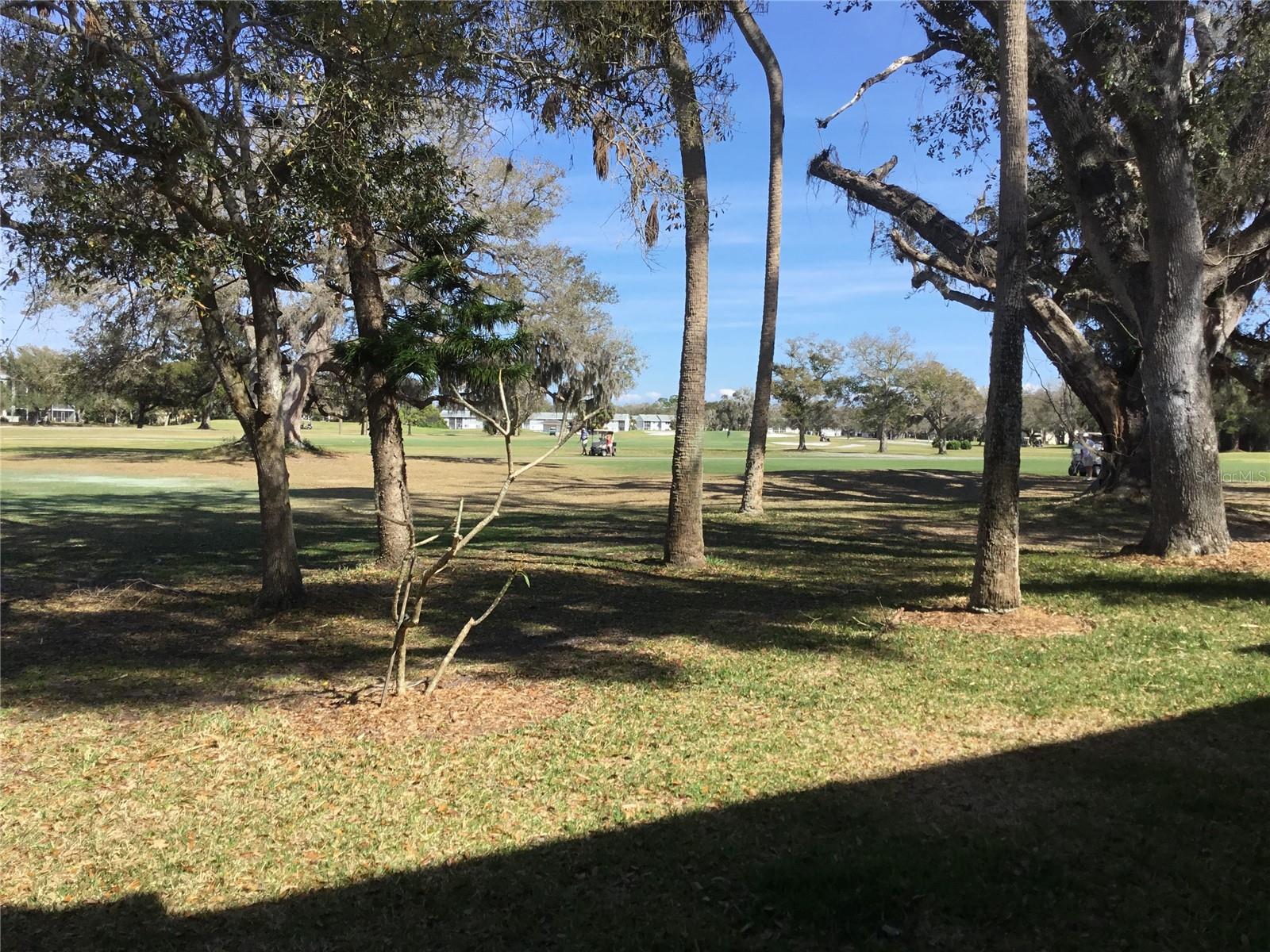 Image 29 of 33 For 44 Country Club Drive 44