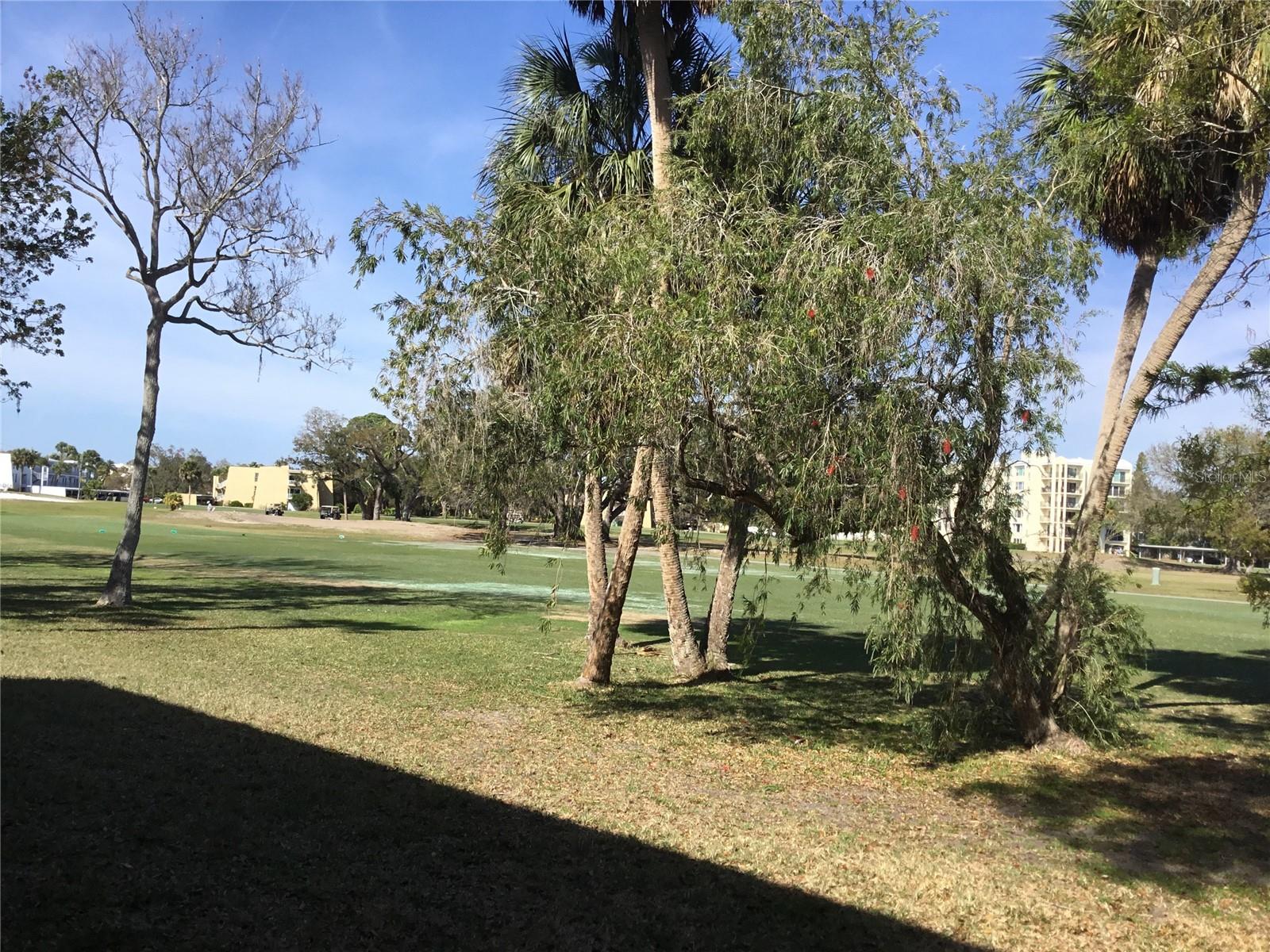 Image 30 of 33 For 44 Country Club Drive 44