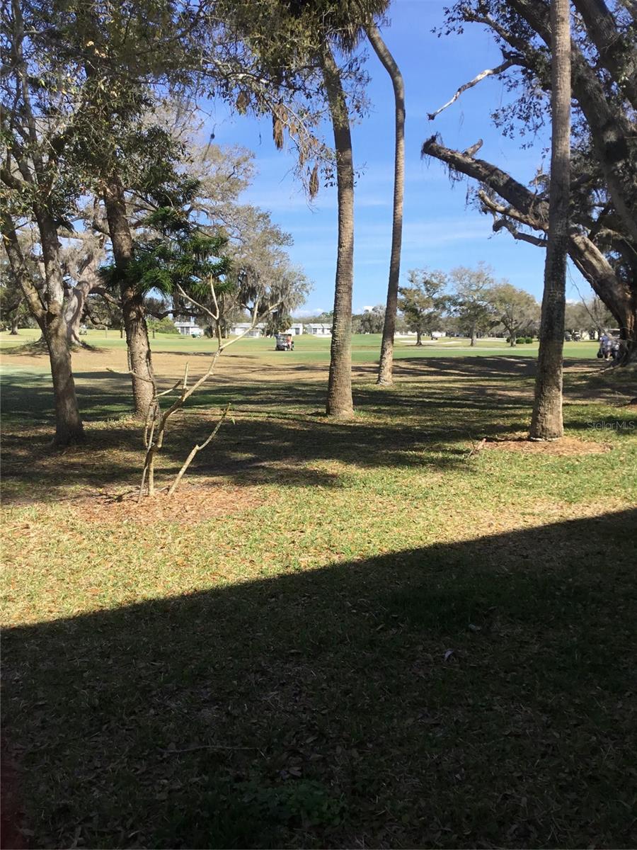 Image 32 of 33 For 44 Country Club Drive 44