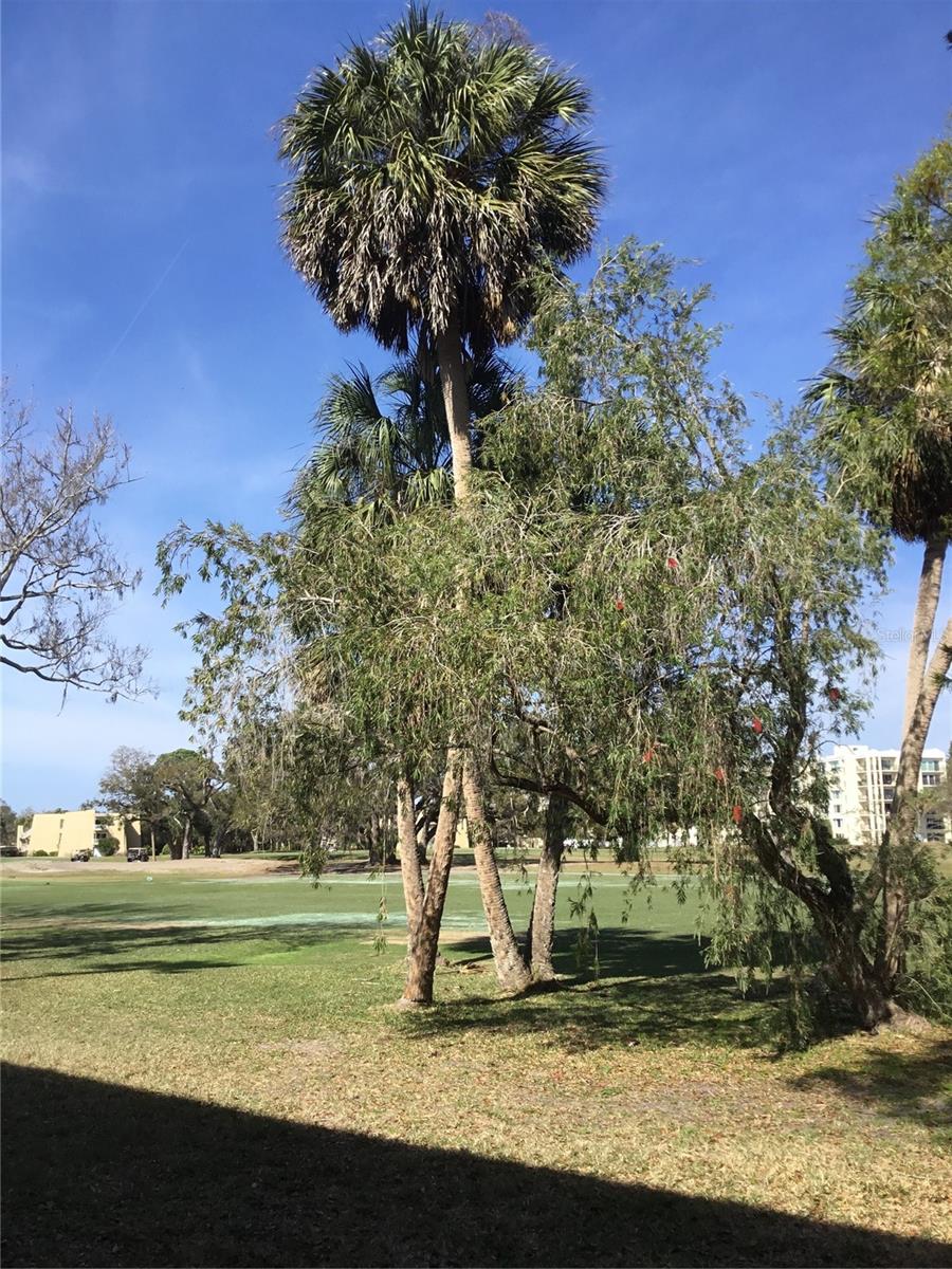 Image 33 of 33 For 44 Country Club Drive 44