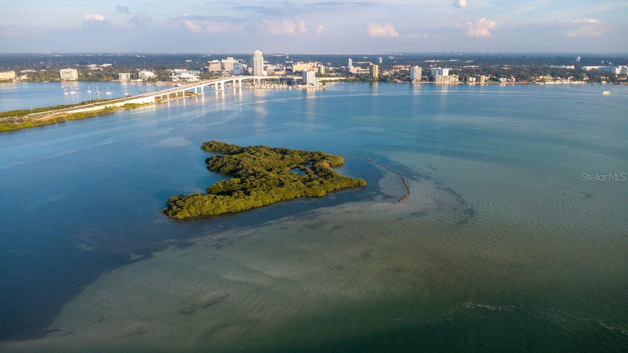 Image 4 of 58 For 830 Gulfview Boulevard 502