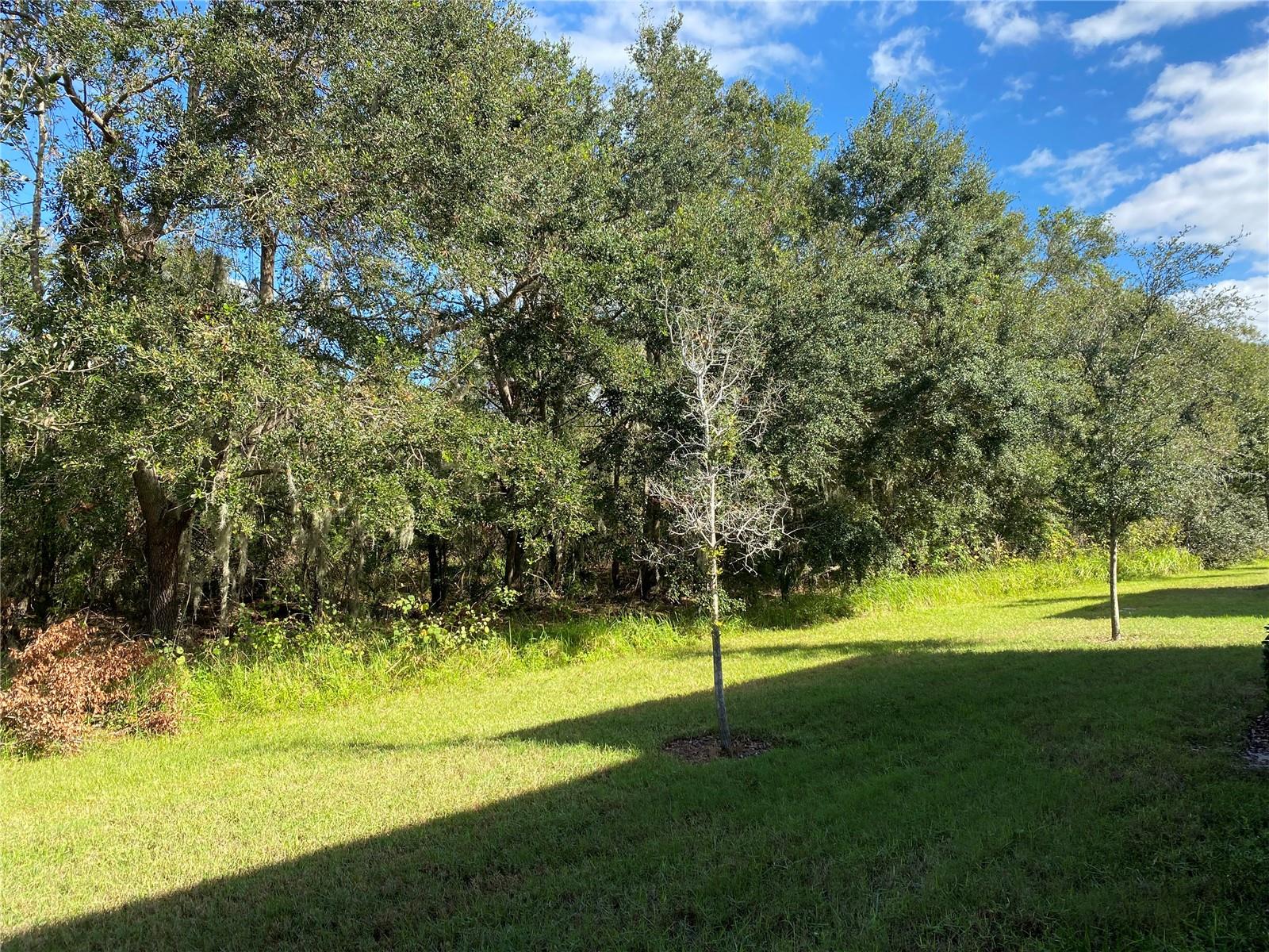 Image 57 of 78 For 9516 Pembrooke Pines Drive