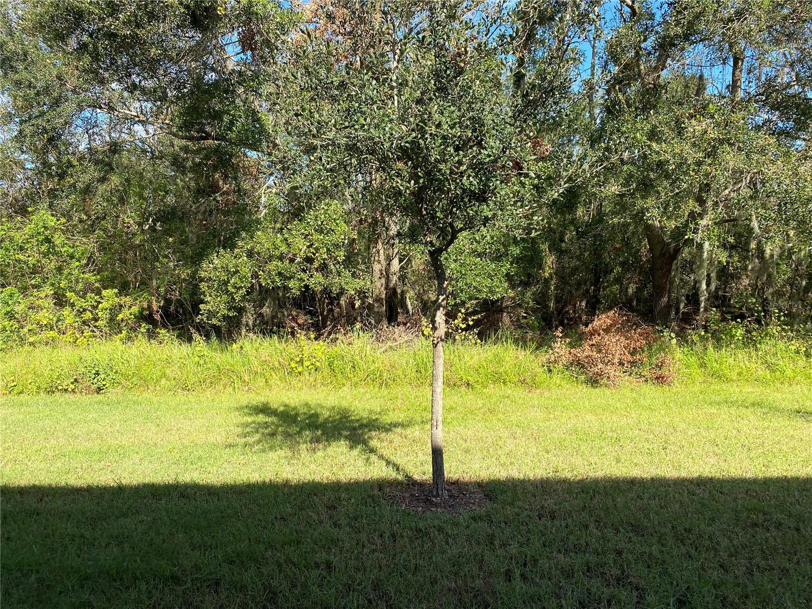 Image 59 of 78 For 9516 Pembrooke Pines Drive