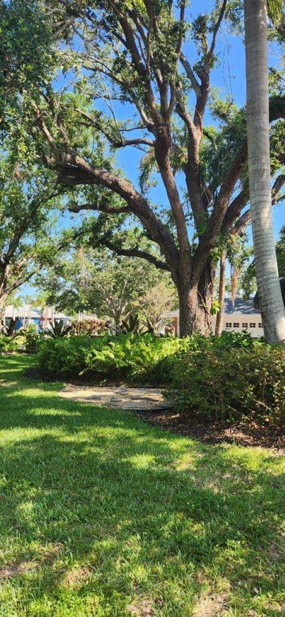 Image 4 of 26 For 219 24th Street W