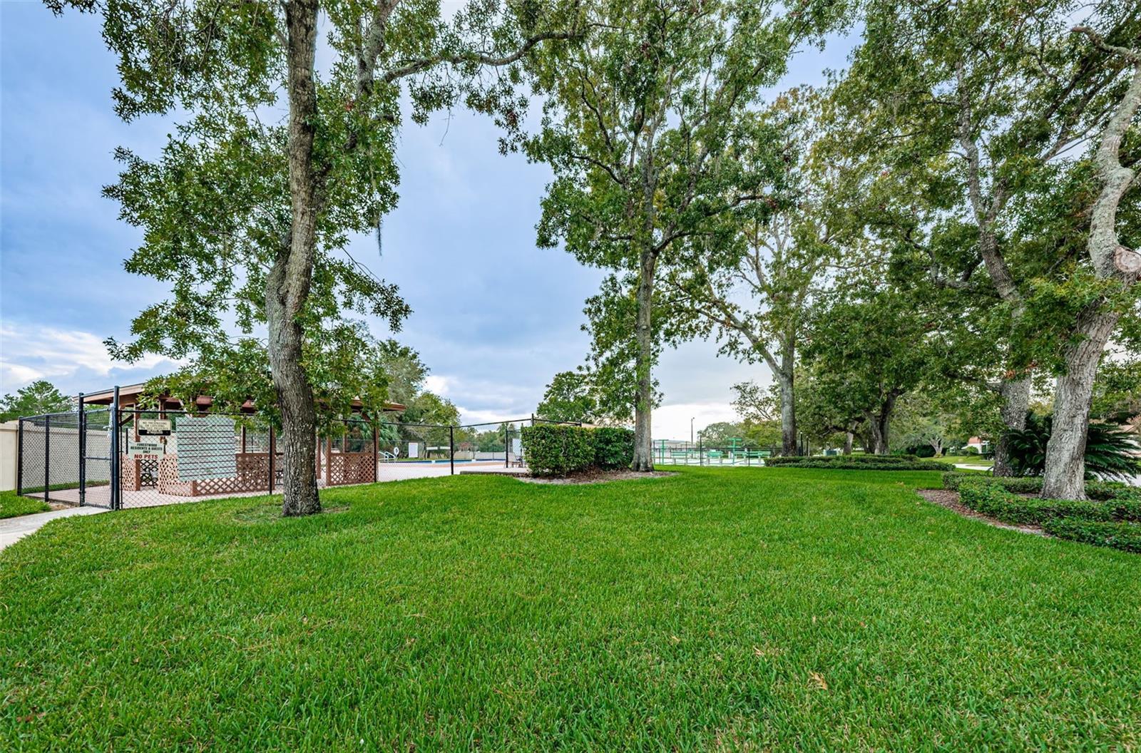 Image 52 of 52 For 8202 Leafy Court