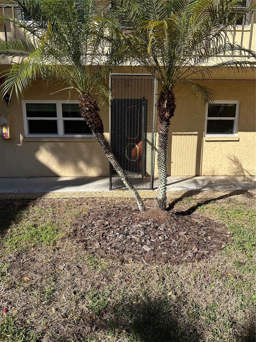 Details for 11485 Oakhurst Road 200-114, LARGO, FL 33774