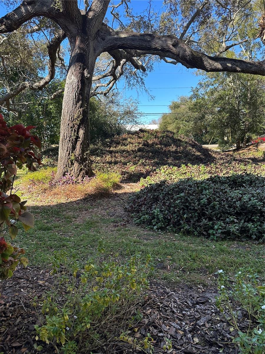 Image 24 of 44 For 11485 Oakhurst Road 200-114