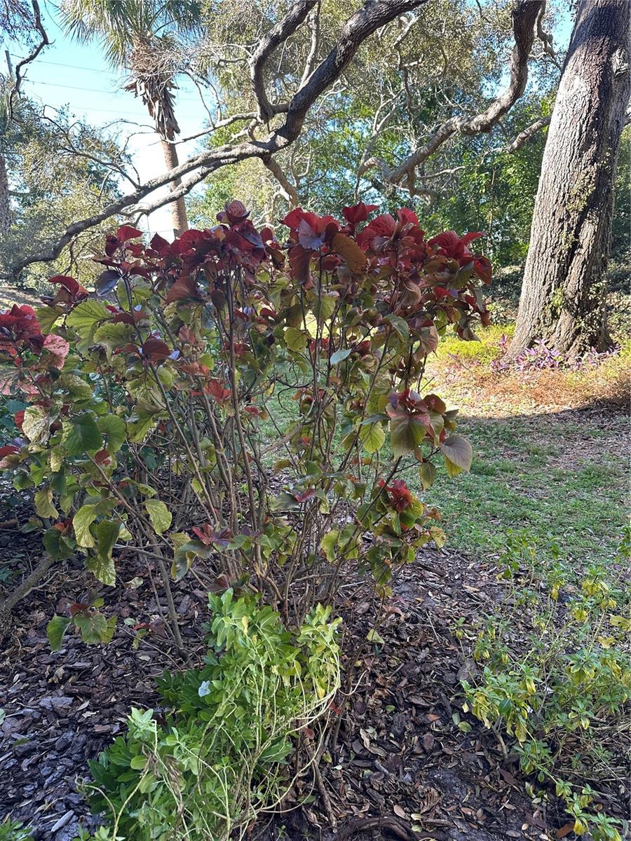 Image 25 of 44 For 11485 Oakhurst Road 200-114