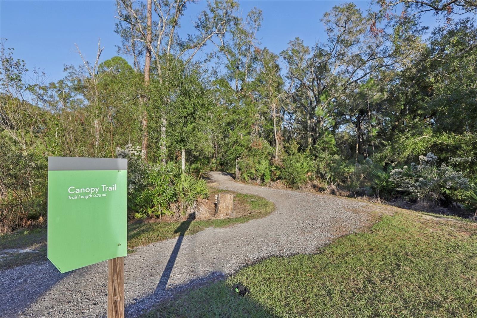 Listing photo id 70 for 18132 Ramble On Way