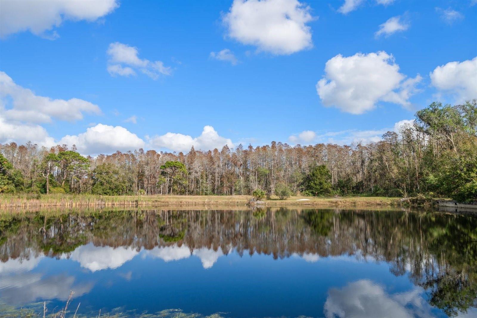 Image 53 of 68 For 18409 Tyler Road