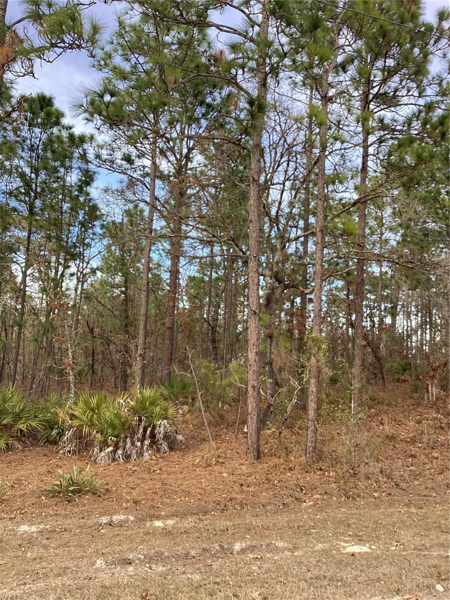 Image 3 of 5 For 0 Chickadee Road