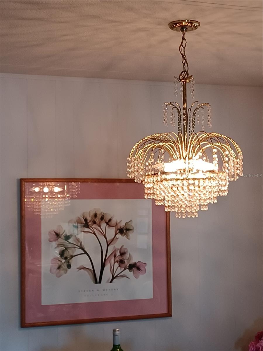 Image 23 of 23 For 34604 Petunia Place