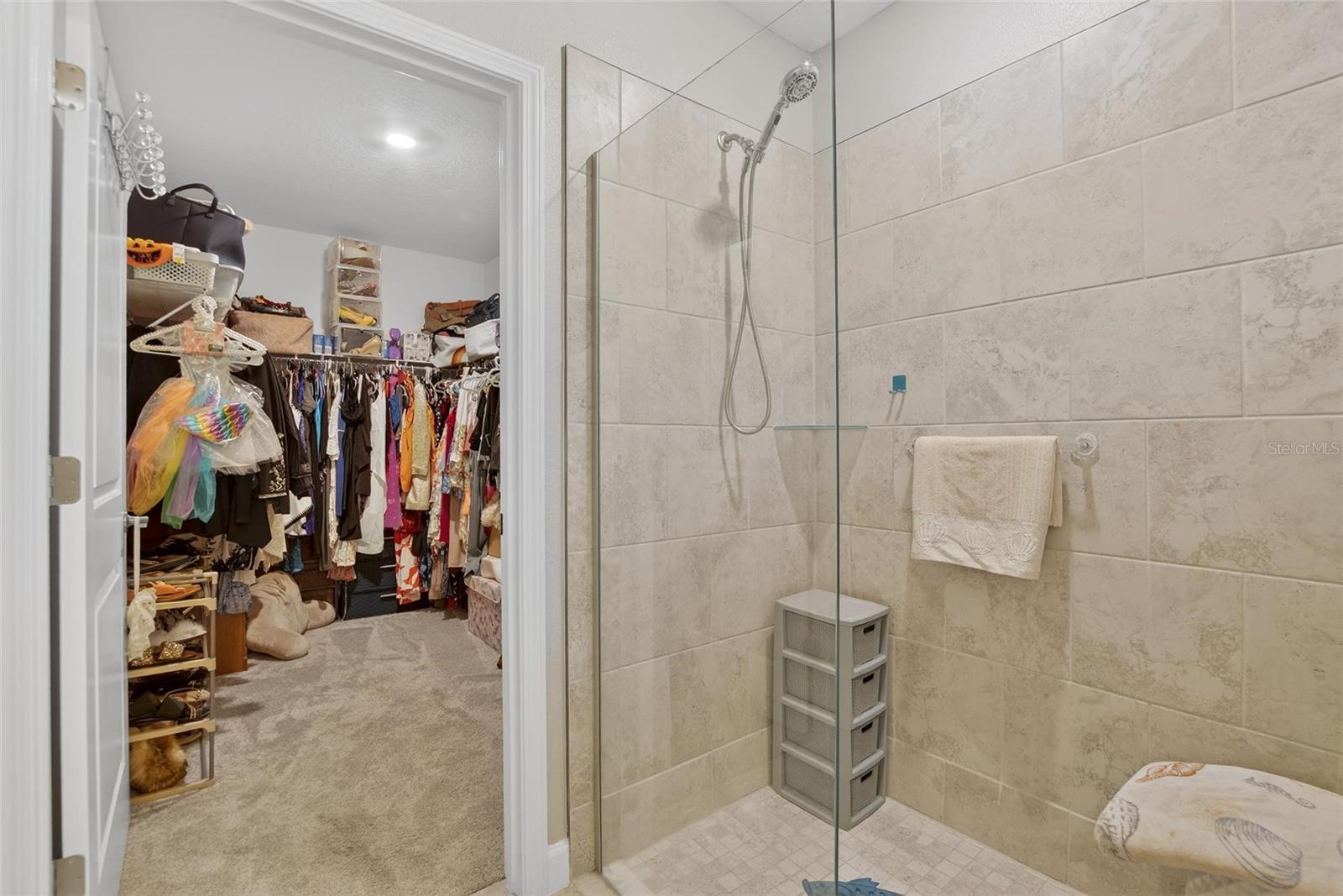 Image 18 of 89 For 16909 April Plush Drive