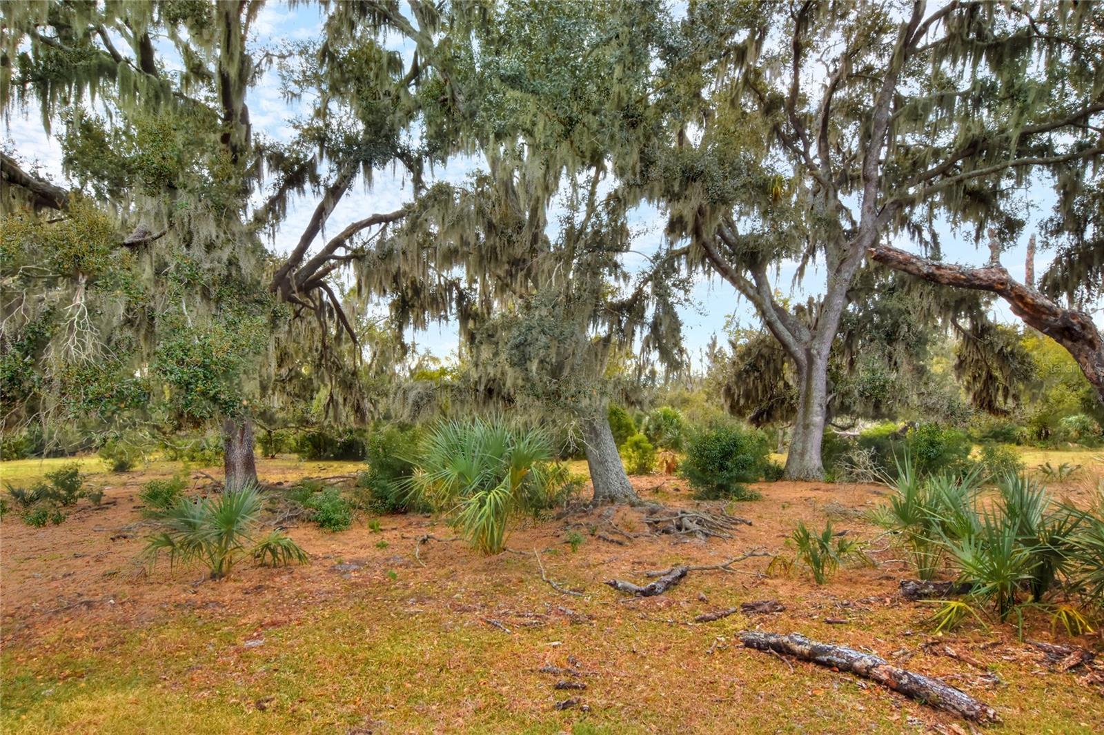 Image 5 of 7 For 0 Carlton Lake Road