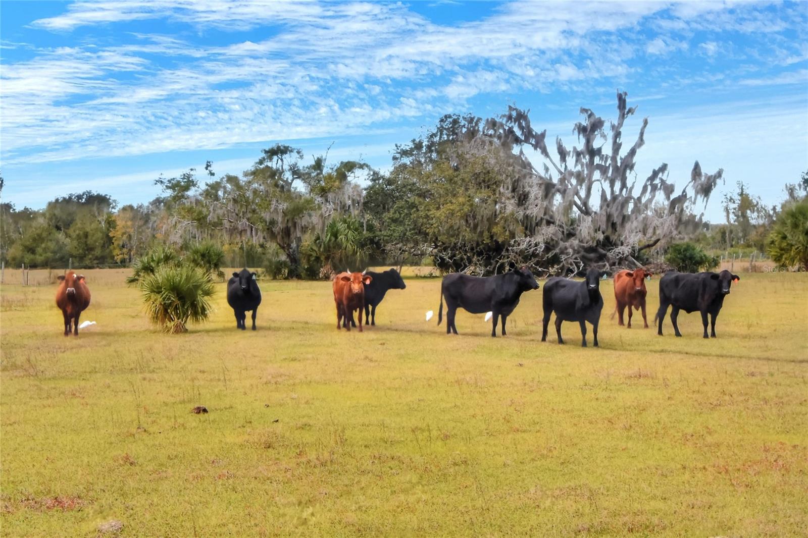 Image 7 of 7 For 0 Carlton Lake Road