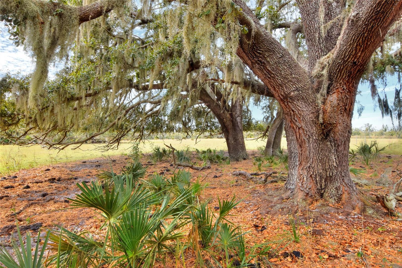Image 3 of 7 For 0 Carlton Lake Road