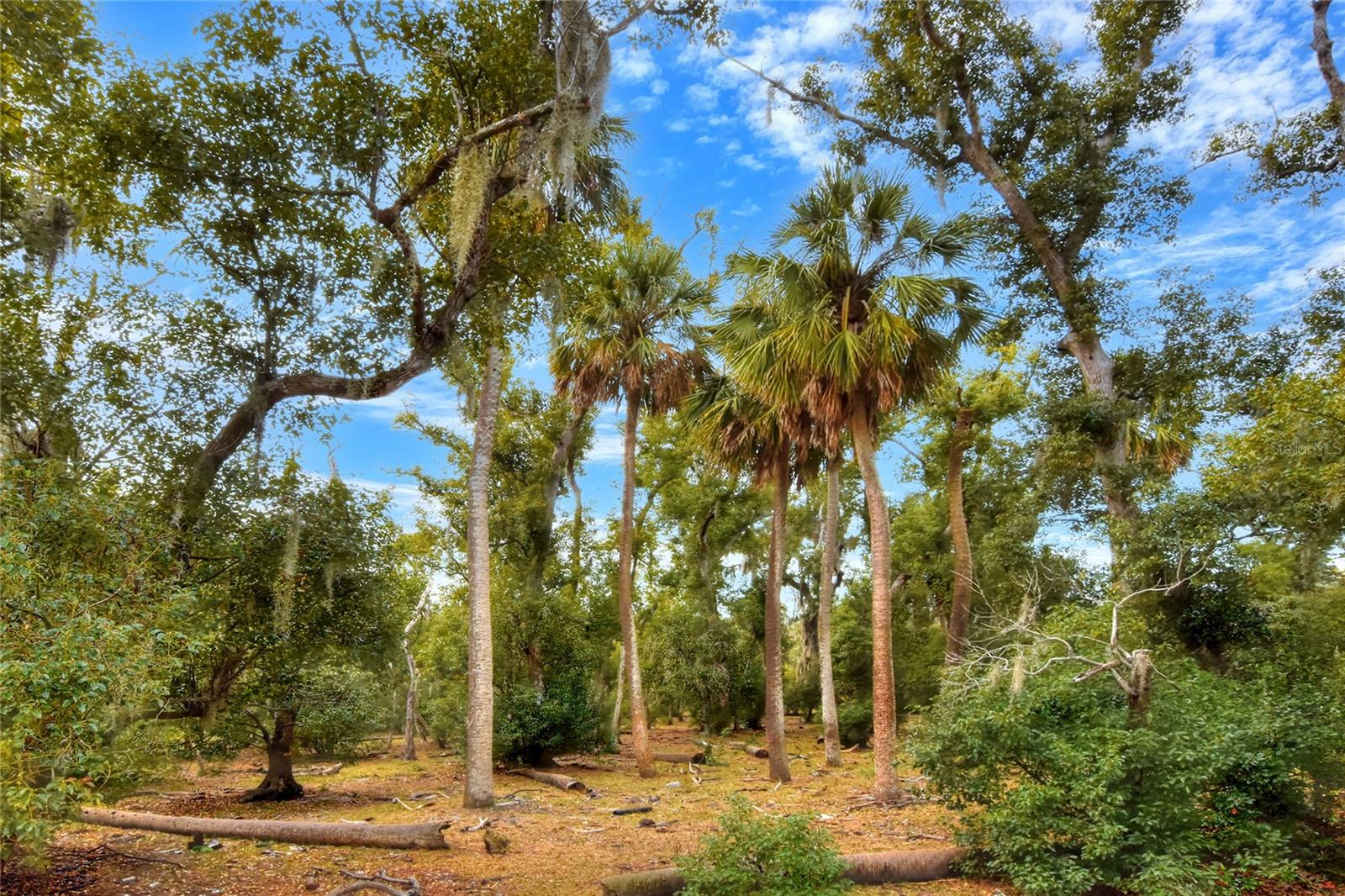 Image 6 of 7 For 0 Carlton Lake Road