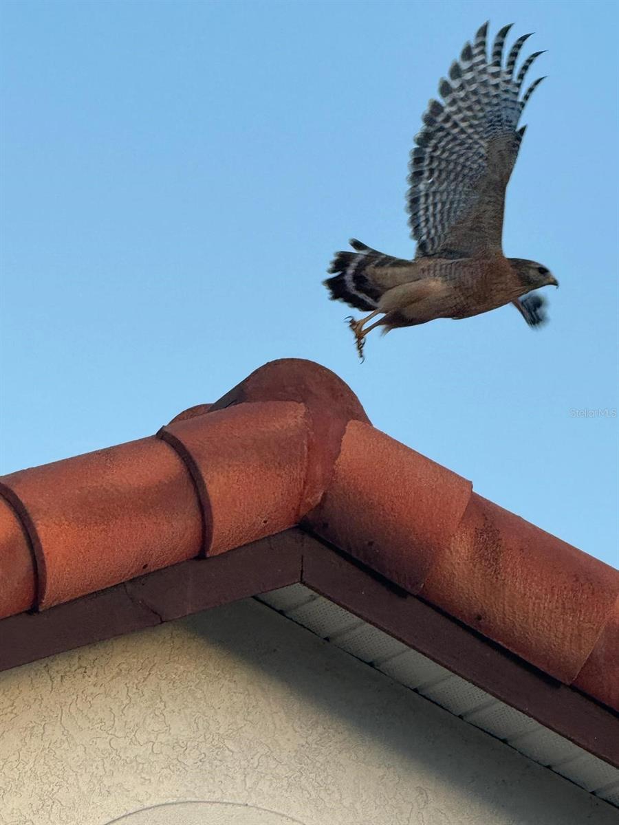 Image 43 of 48 For 4054 Caddie Drive E