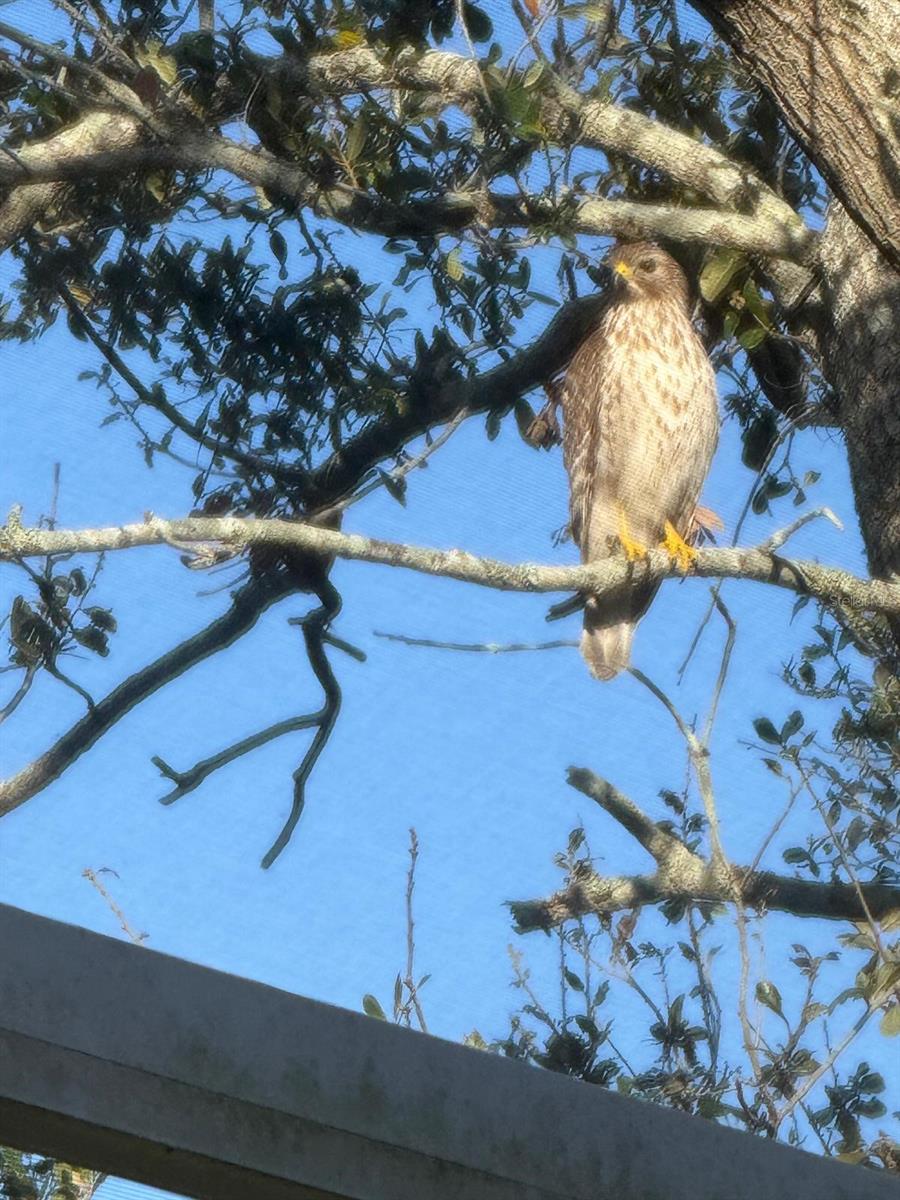 Image 44 of 48 For 4054 Caddie Drive E