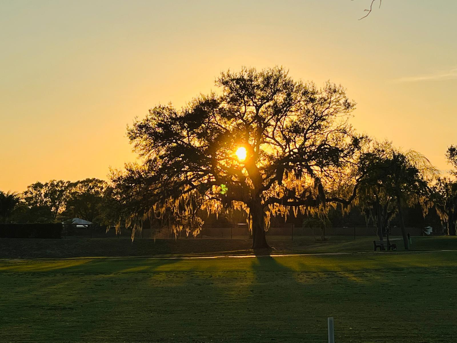 Image 48 of 48 For 4054 Caddie Drive E