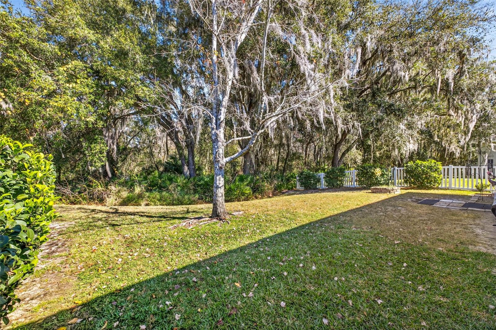 Image 35 of 36 For 808 Bronze Bush Court