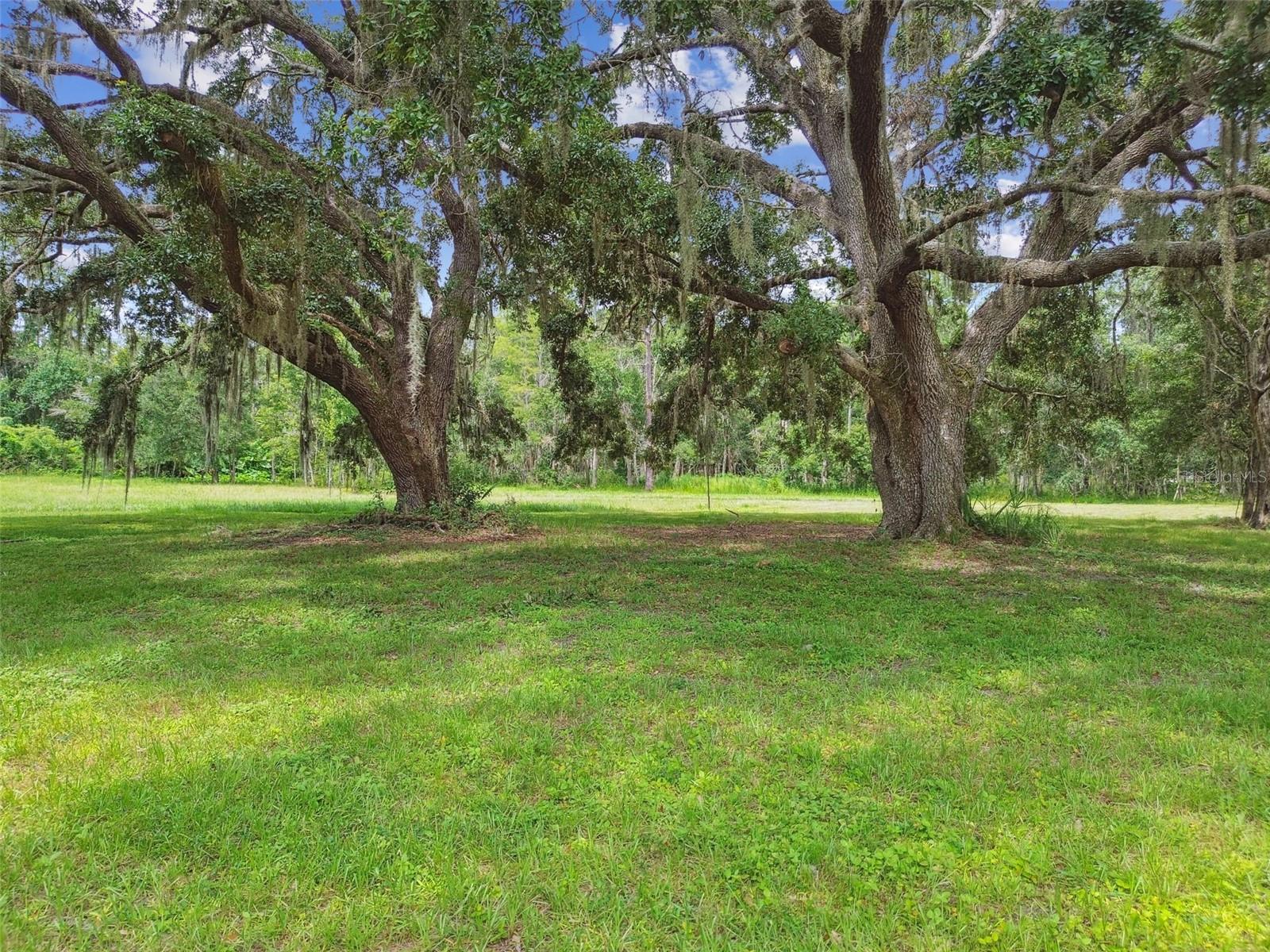 Image 83 of 88 For 13711 Lussier Lane